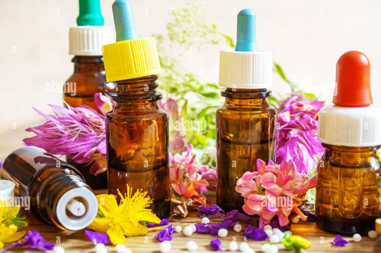 Se actualiza la categoría Homeopatía del DeCS